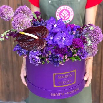 Коробка цветов с алиумом и орхидеями на 8 марта