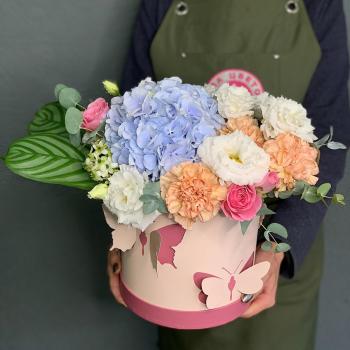 Коробка цветов с гортензиями и 5 гвоздиками