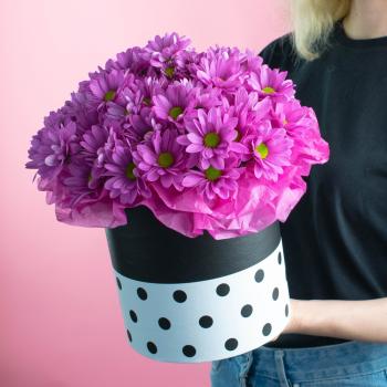 Фиолетовая кустовая хризантема в коробке