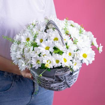 Белые кустовые хризантемы в корзине