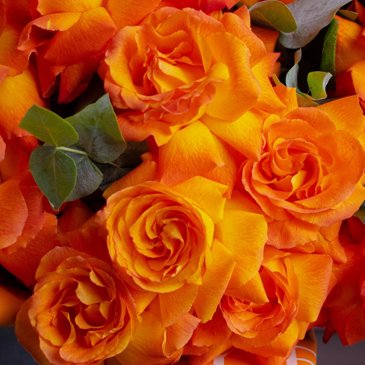15 оранжевых роз с эвкалиптом