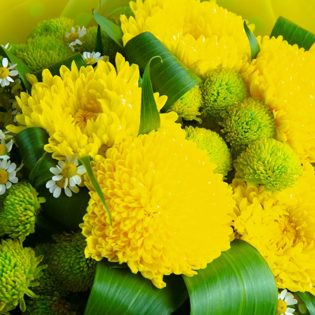 Букет с жёлтыми и зелеными хризантемами