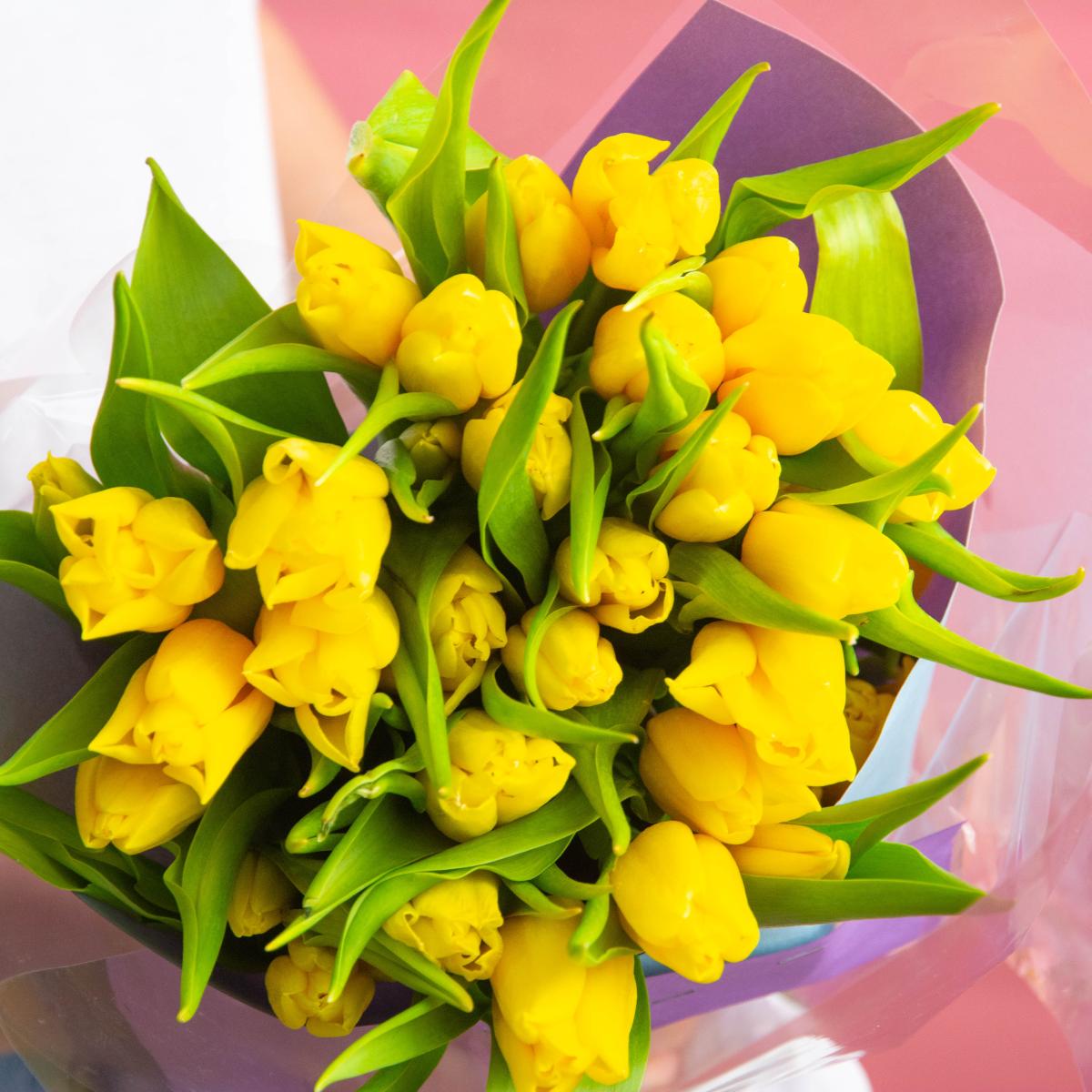 Желтые тюльпаны (33 шт.)