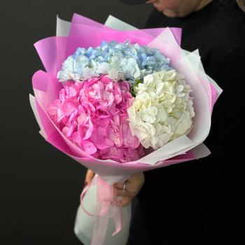 Букет из 3 гортензий