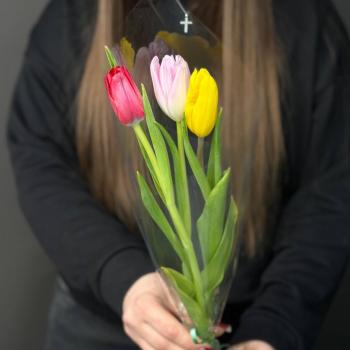 Букет 3 тюльпана