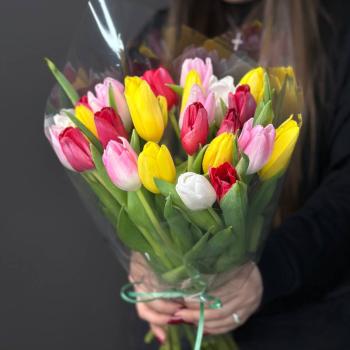 Букет 25 тюльпанов