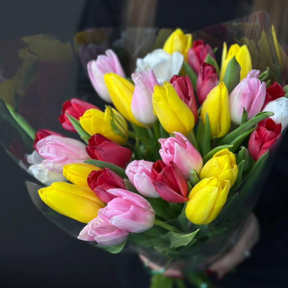 Букет 31 тюльпан
