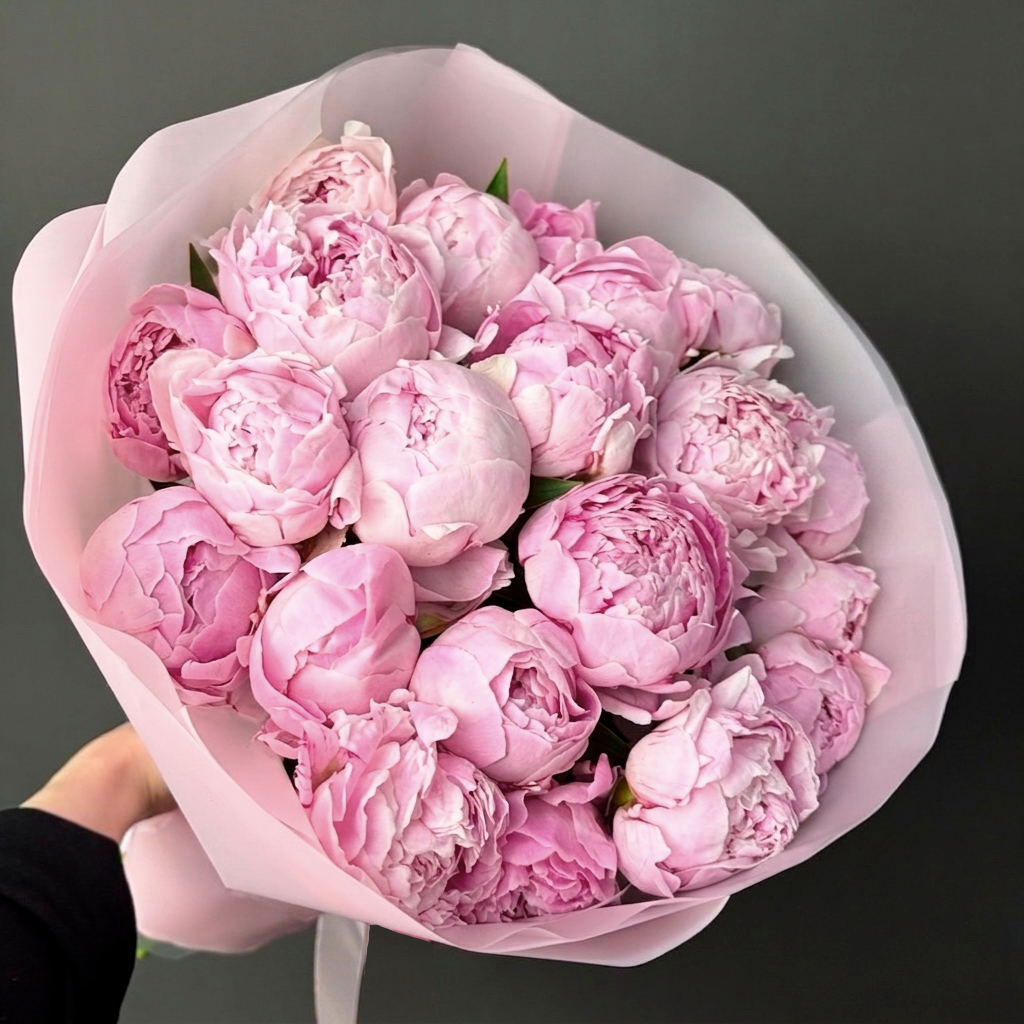 21 розовый пион