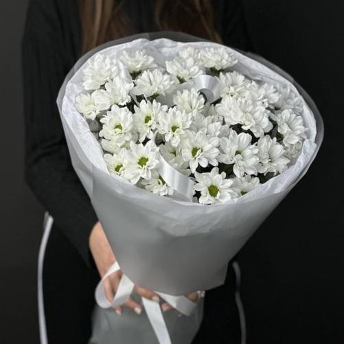 5 белых кустовых хризантем