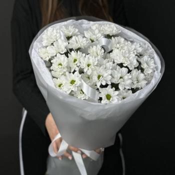 5 белых кустовых хризантем