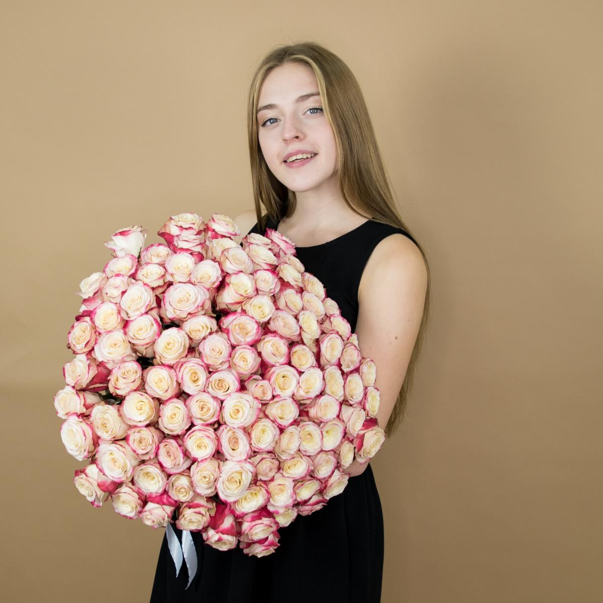 Розы красно-белые (40 см) Эквадор премиум