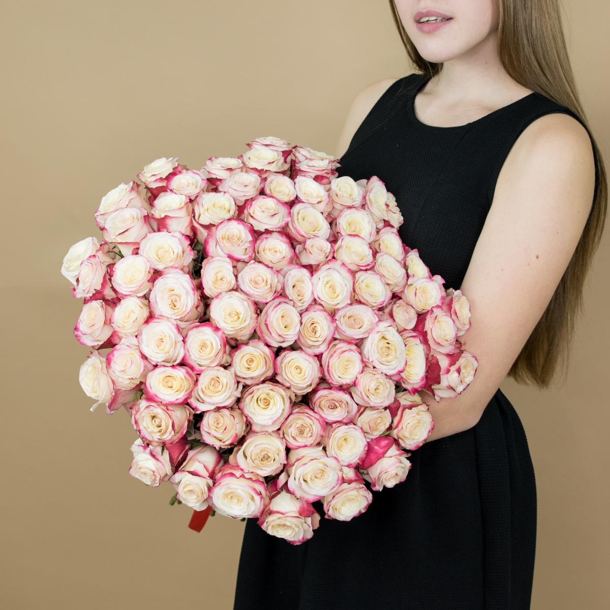Розы красно-белые 75 шт 40 см (Эквадор)