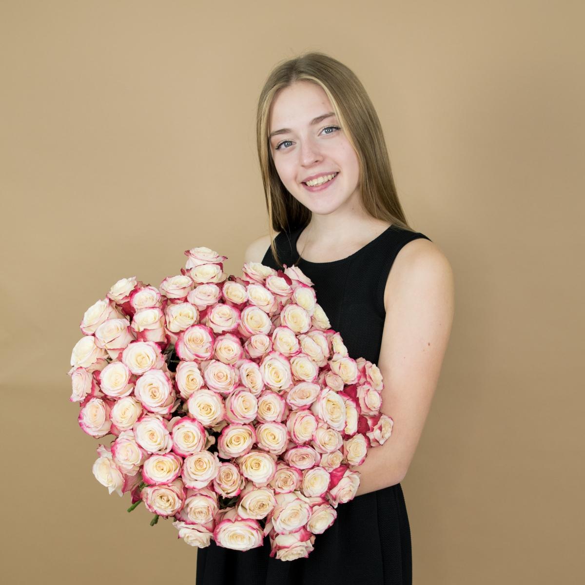 Розы красно-белые 75 шт 40 см (Эквадор)