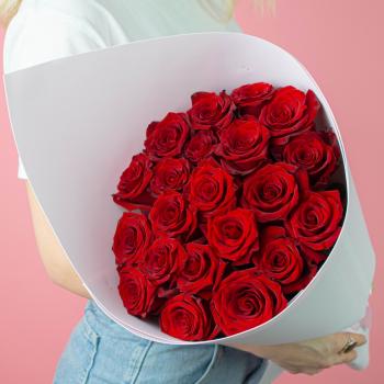 Розы Эквадор 40 см (Красные)