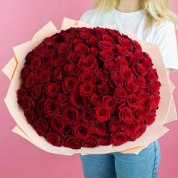 Розы Эквадор 40 см (Красные)
