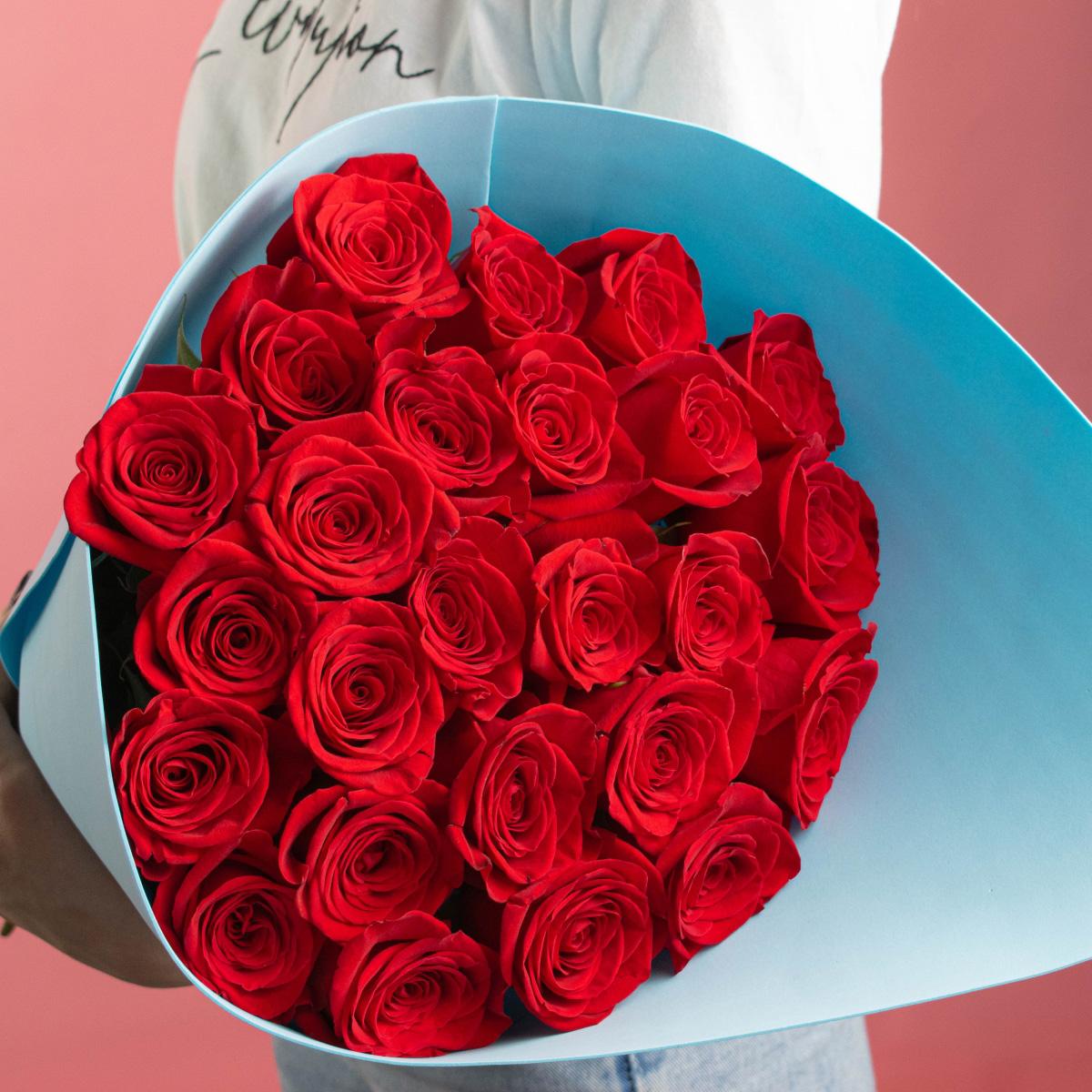 Розы Эквадор 50 см (Красные)