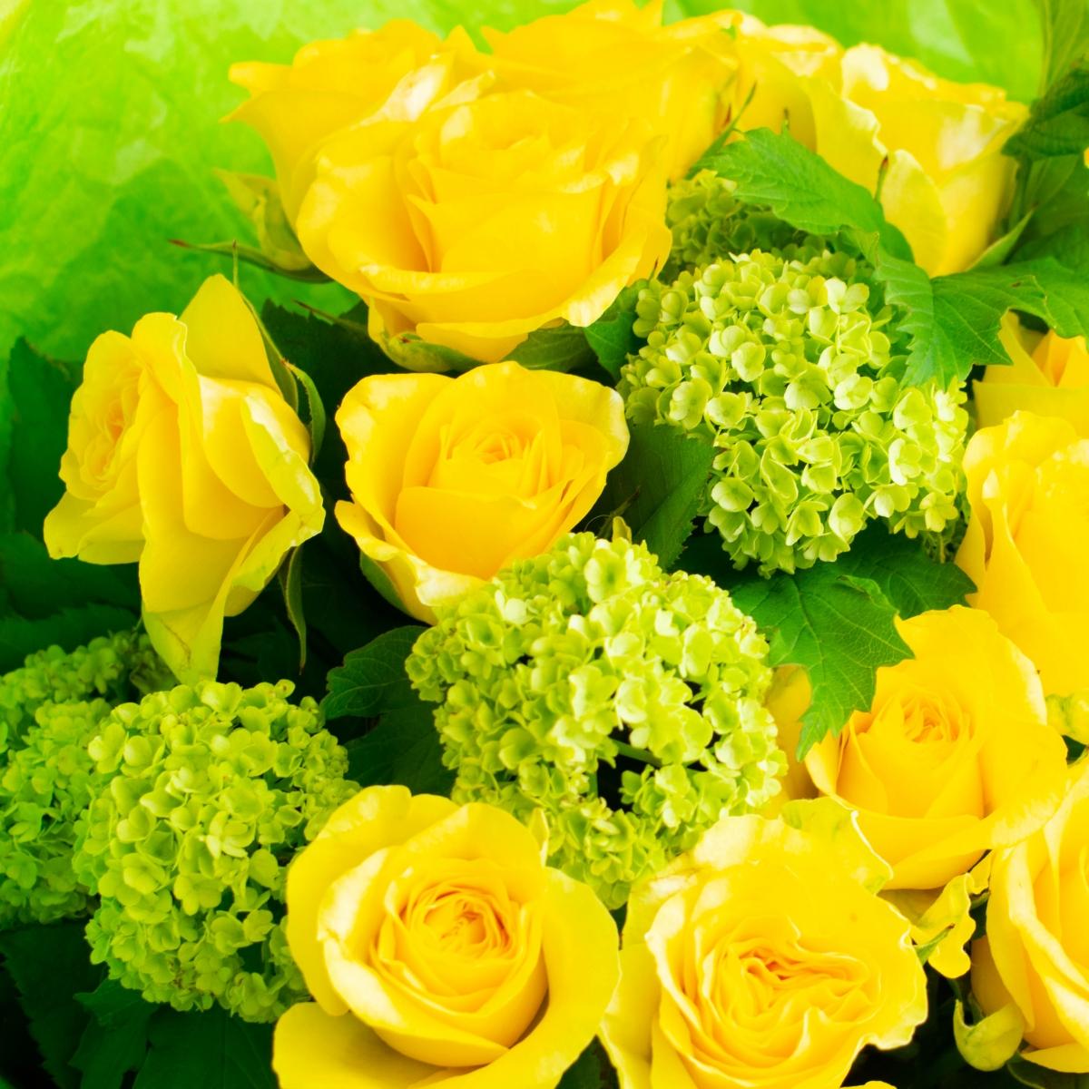 17 жёлтых роз с эвкалиптом