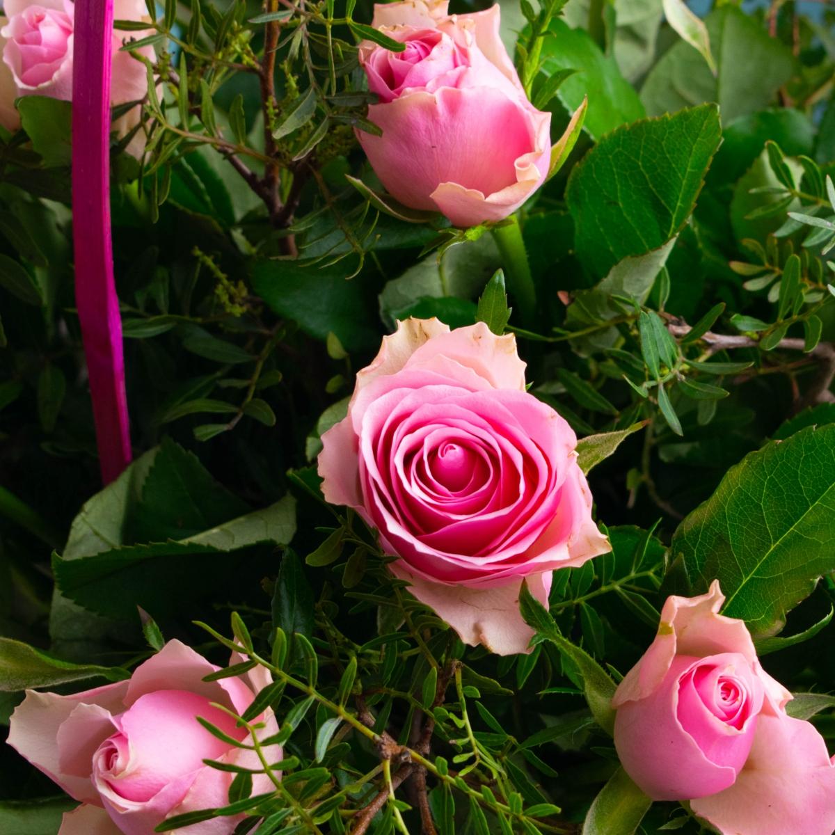 Розовые розы с фисташкой в корзине