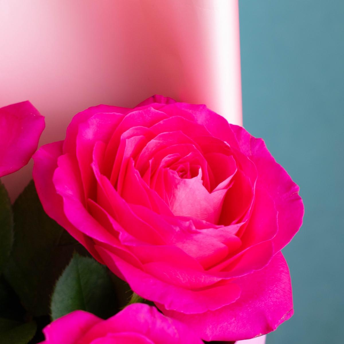 Розы Россия 5 шт. 60 см