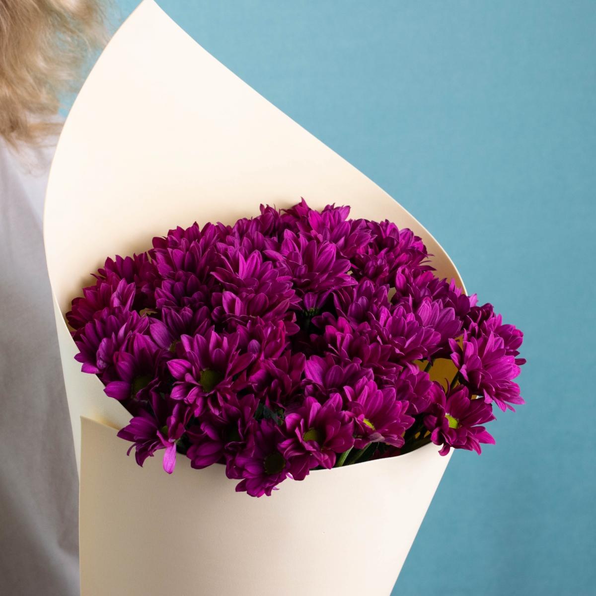 Кустовые хризантемы 7 шт. темно фиолетовые