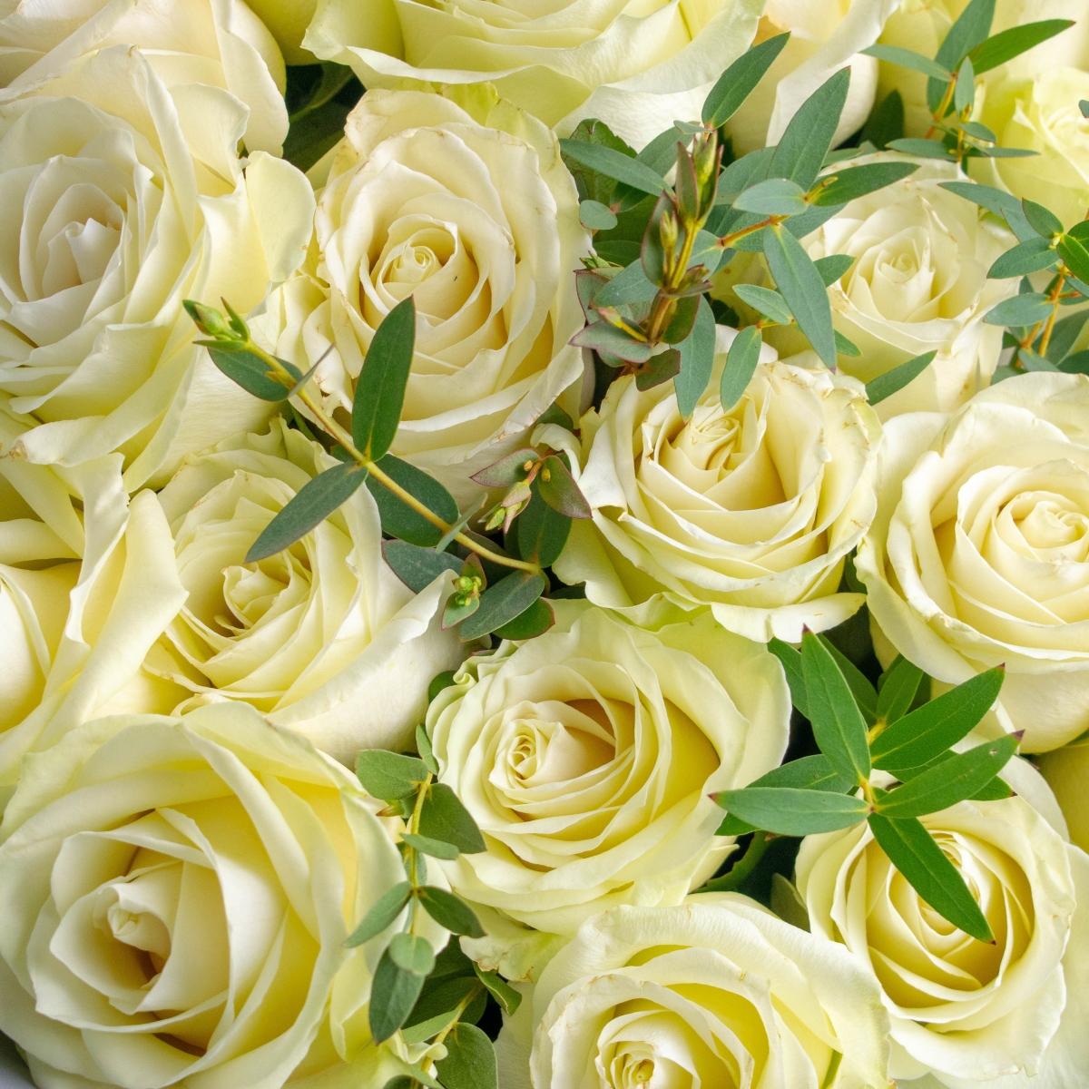Белые розы с эвкалиптом