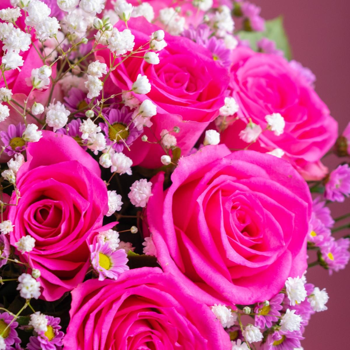11 розовых роз и гипсофила в коробке