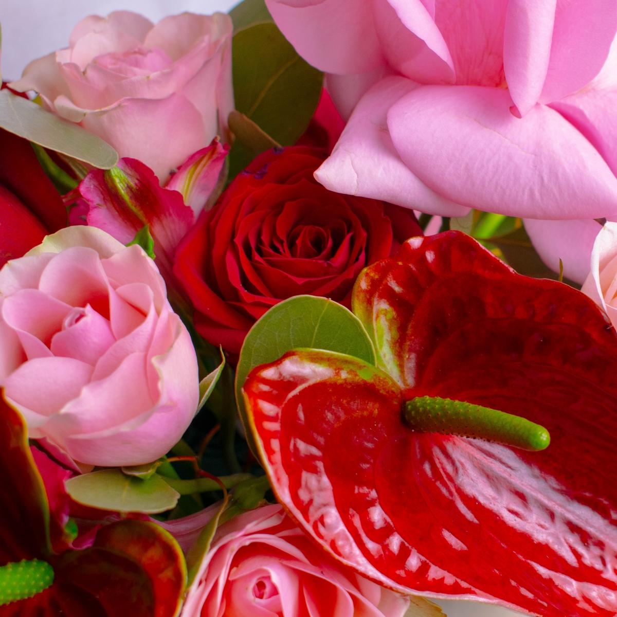 Красные и розовые розы с антуриумом в коробке