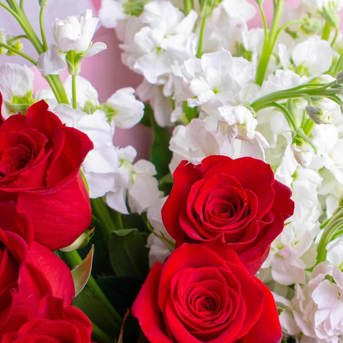 15 красных роз с матиолой