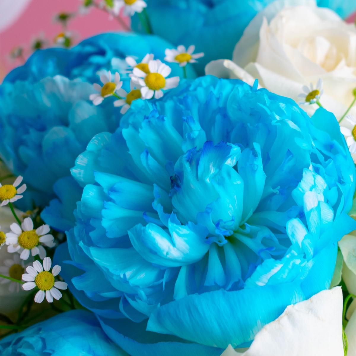 Коробка цветов с синими пионами и розами