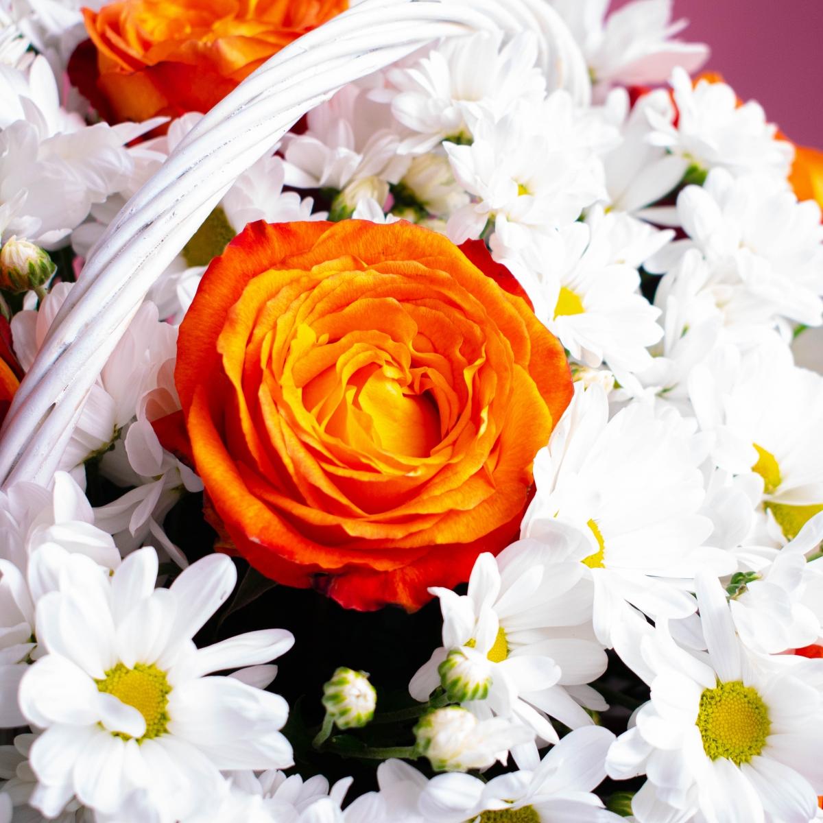Оранжевые розы с хризантемой в корзине
