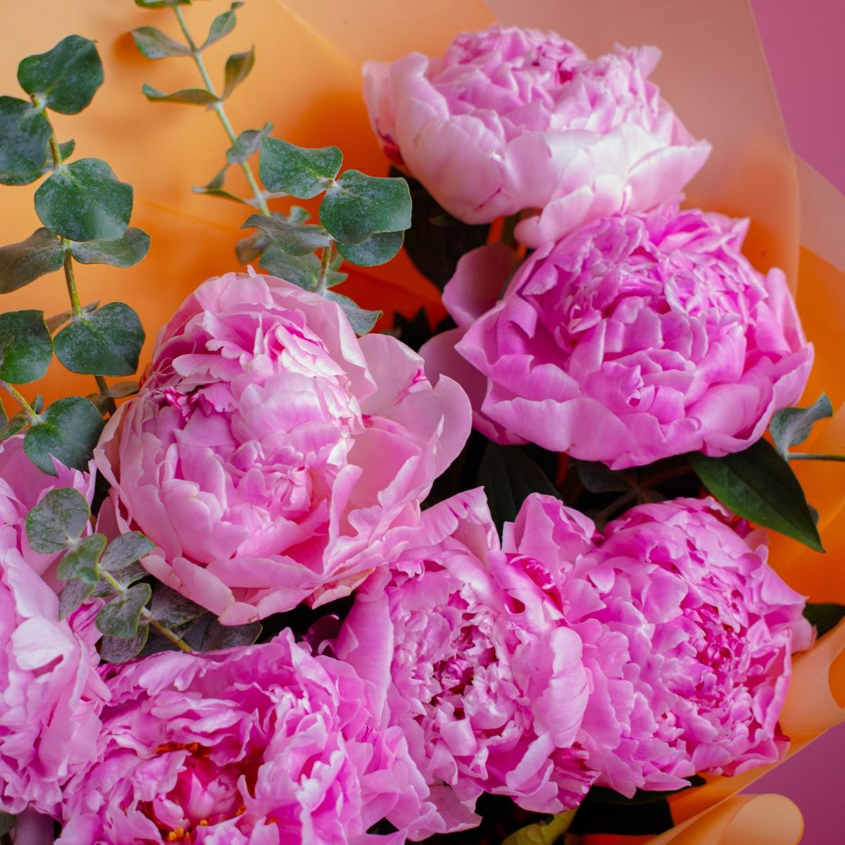 7 розовых пионов с эвкалиптом