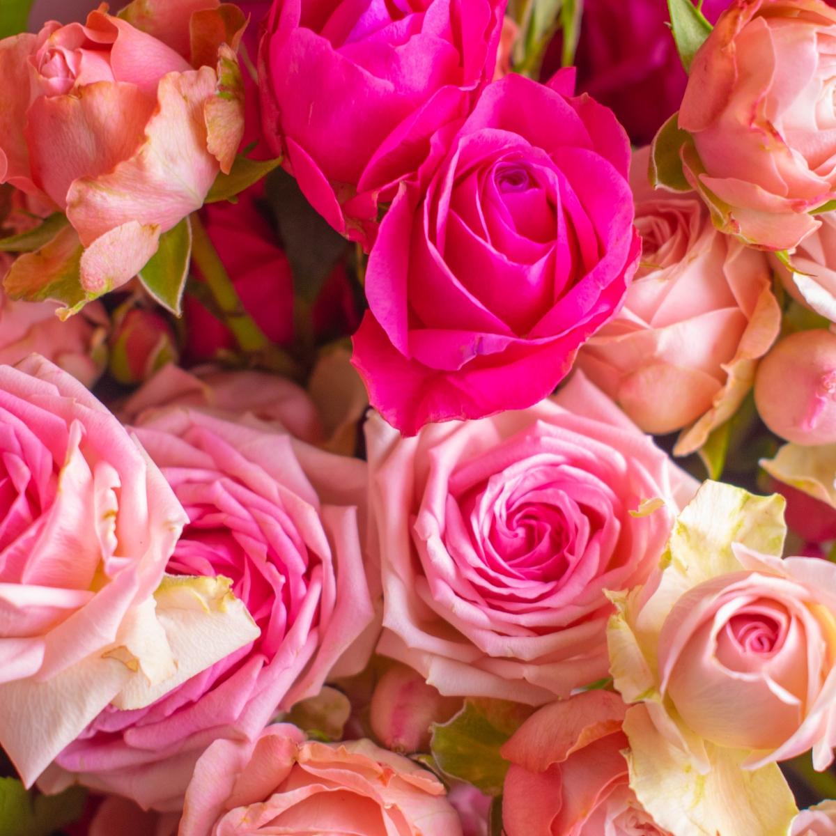Розы кустовые 60 см. розовые 9 шт.