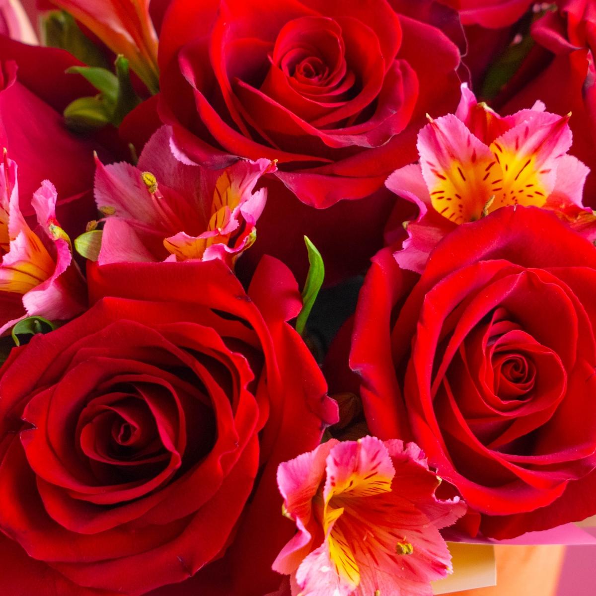 7 красных роз и альстромерий в коробке