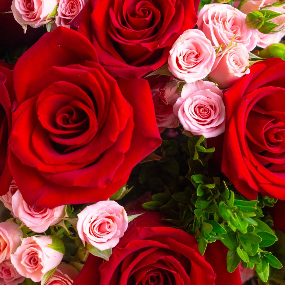 15 красных и розовых роз