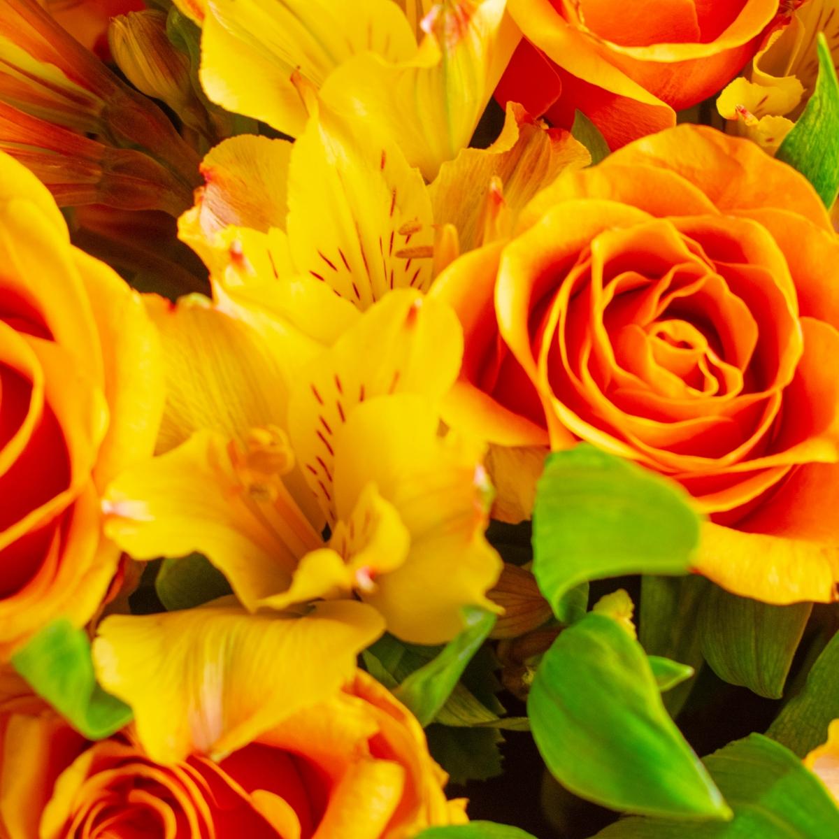 11 жёлтых роз с альстромериями