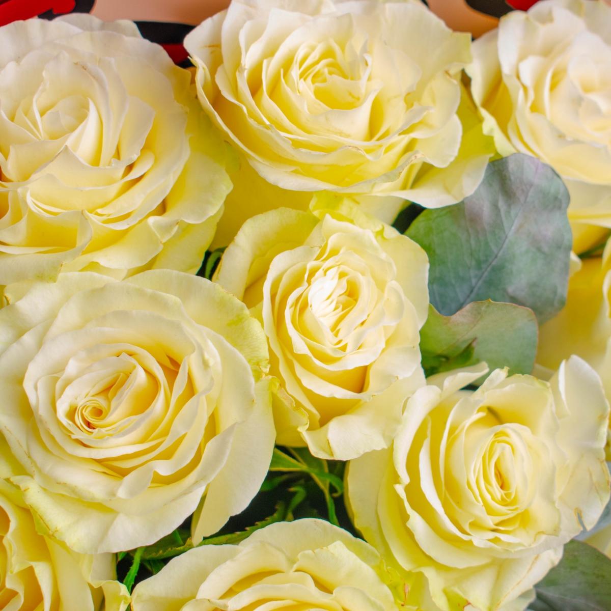 Розы белые 40 см 15 шт