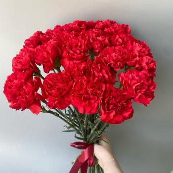25 красных гвоздик