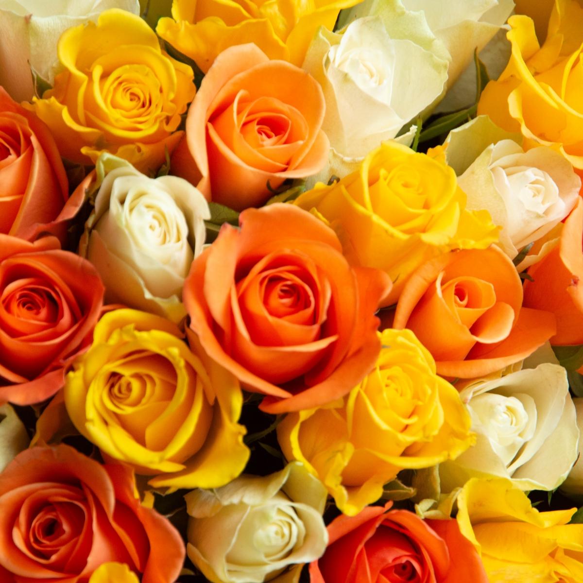 61 оранжевые и жёлтые розы