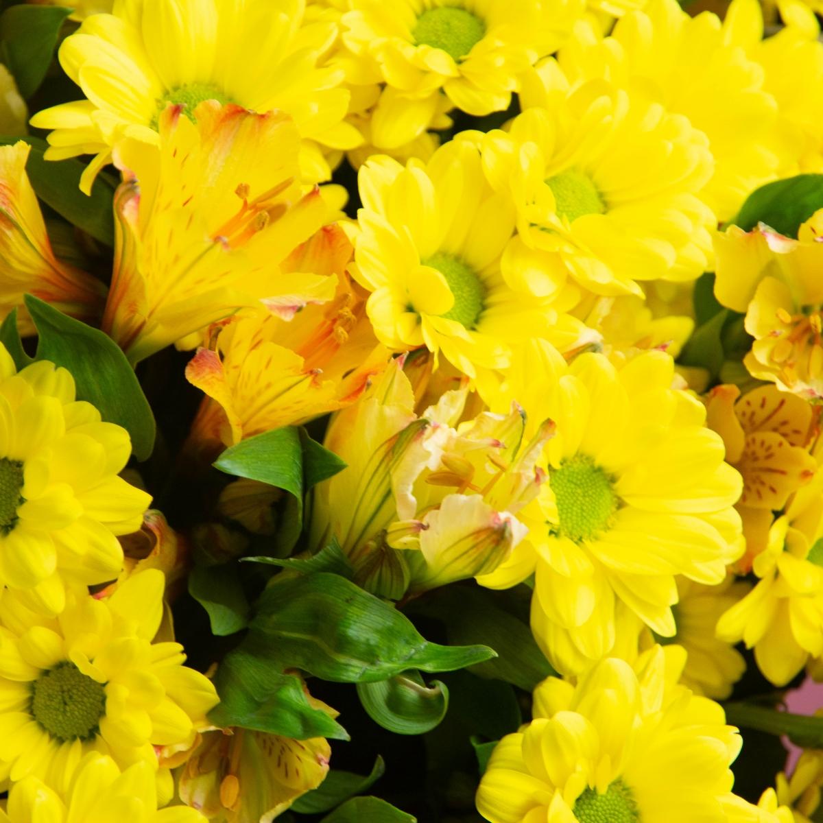 5 жёлтых кустовых хризантем с альстромерией