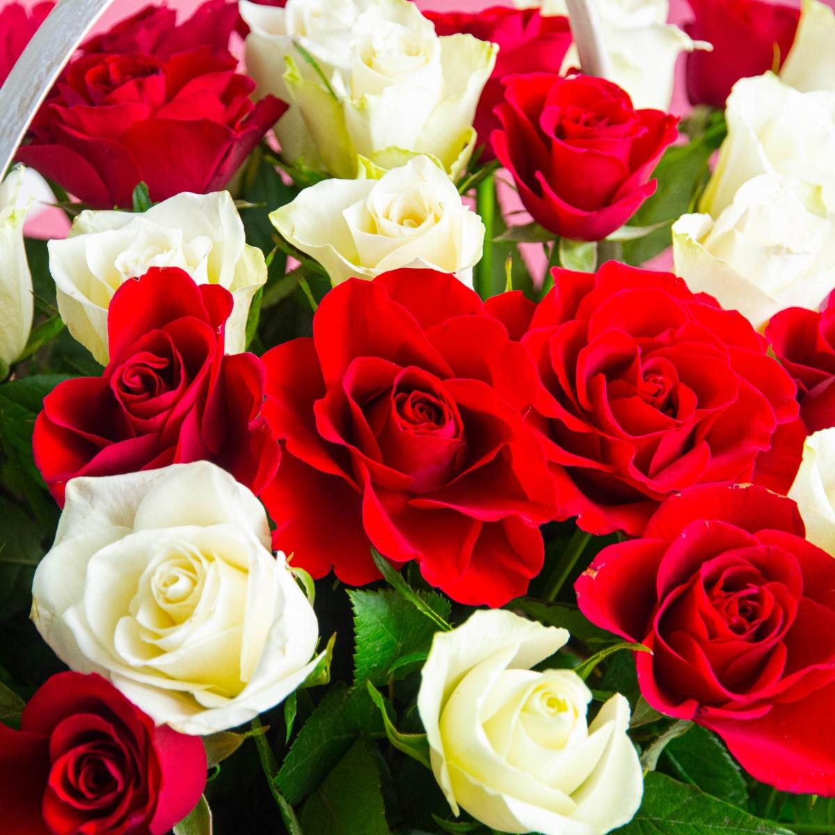 81 красная и белая розы в коробке