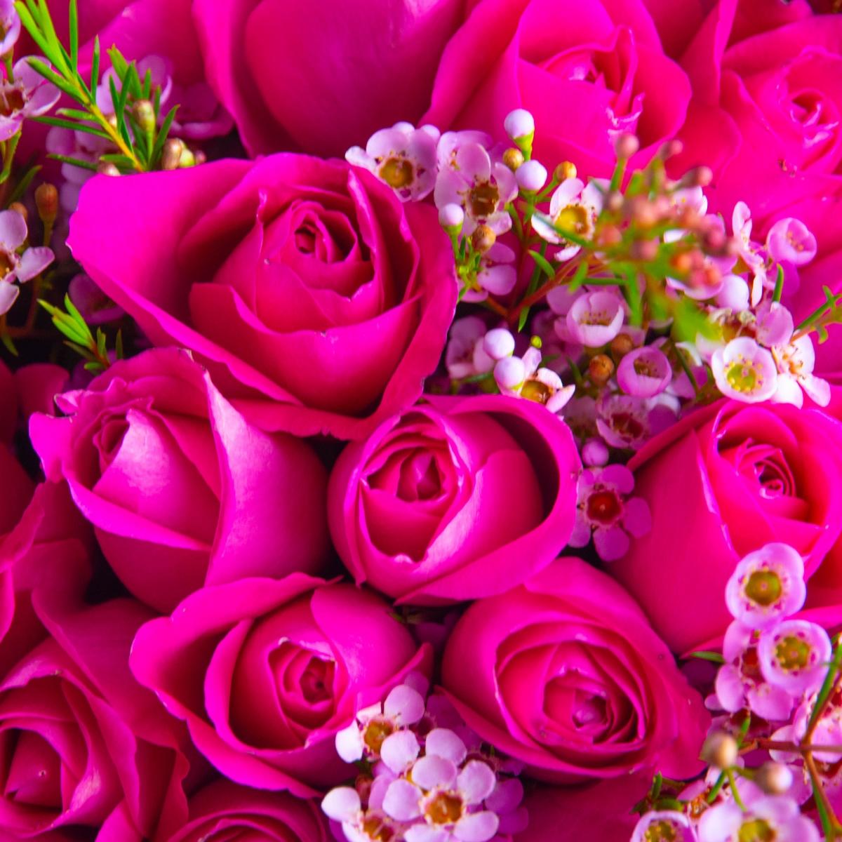 31 розовая роза с ваксфлаверами