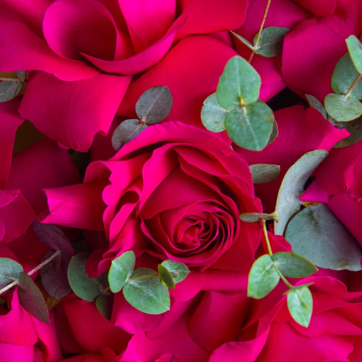 9 розовых роз с эвкалиптом