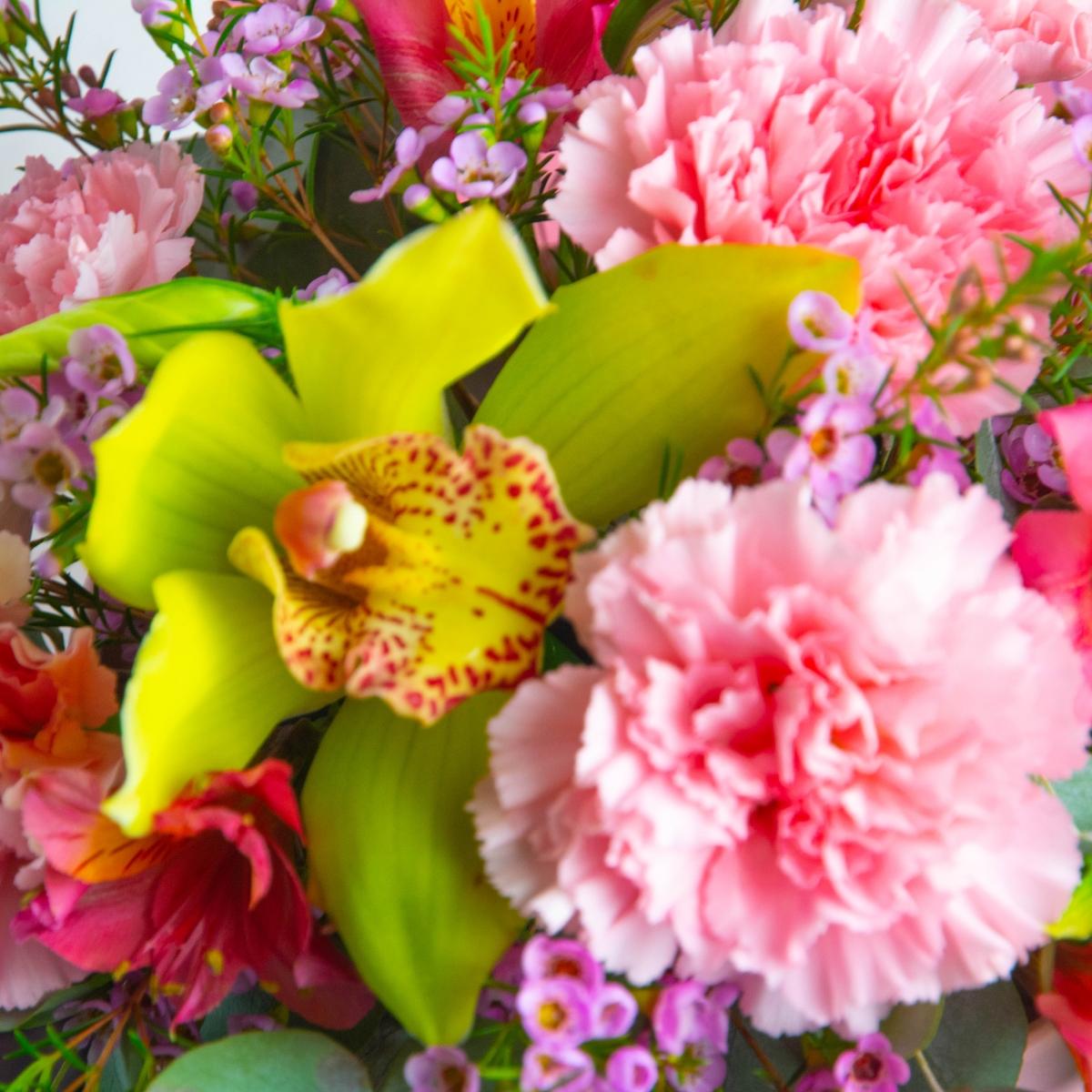 Коробка цветов с 7 розовыми гвоздиками