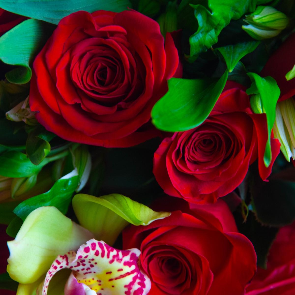 9 красных роз с альстромериями
