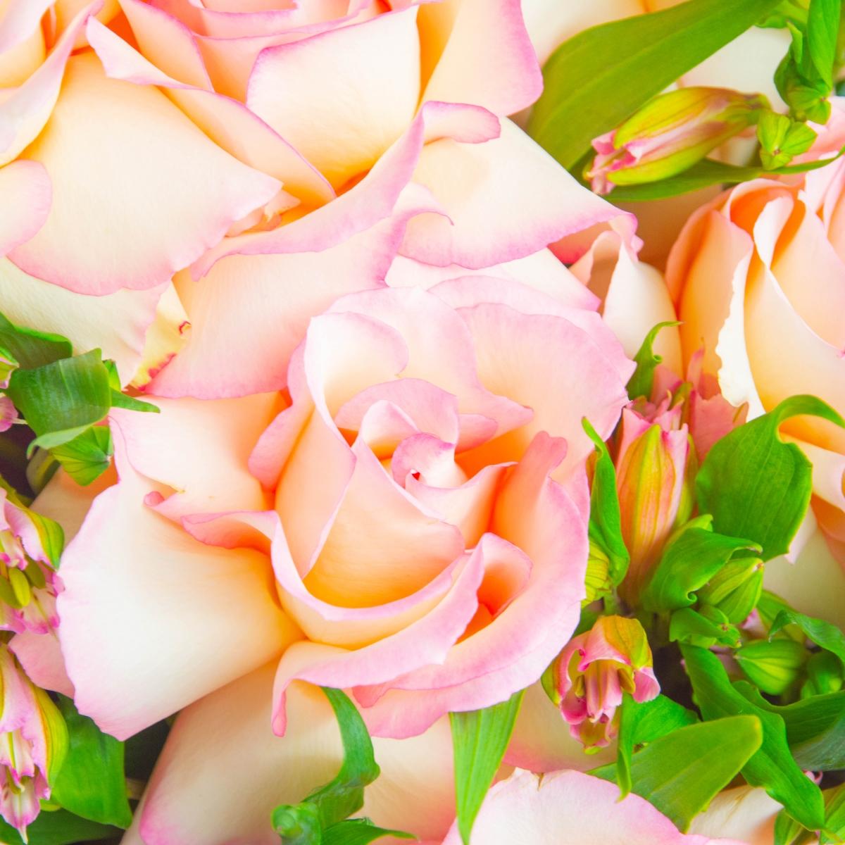 7 розовых роз с альстромерией