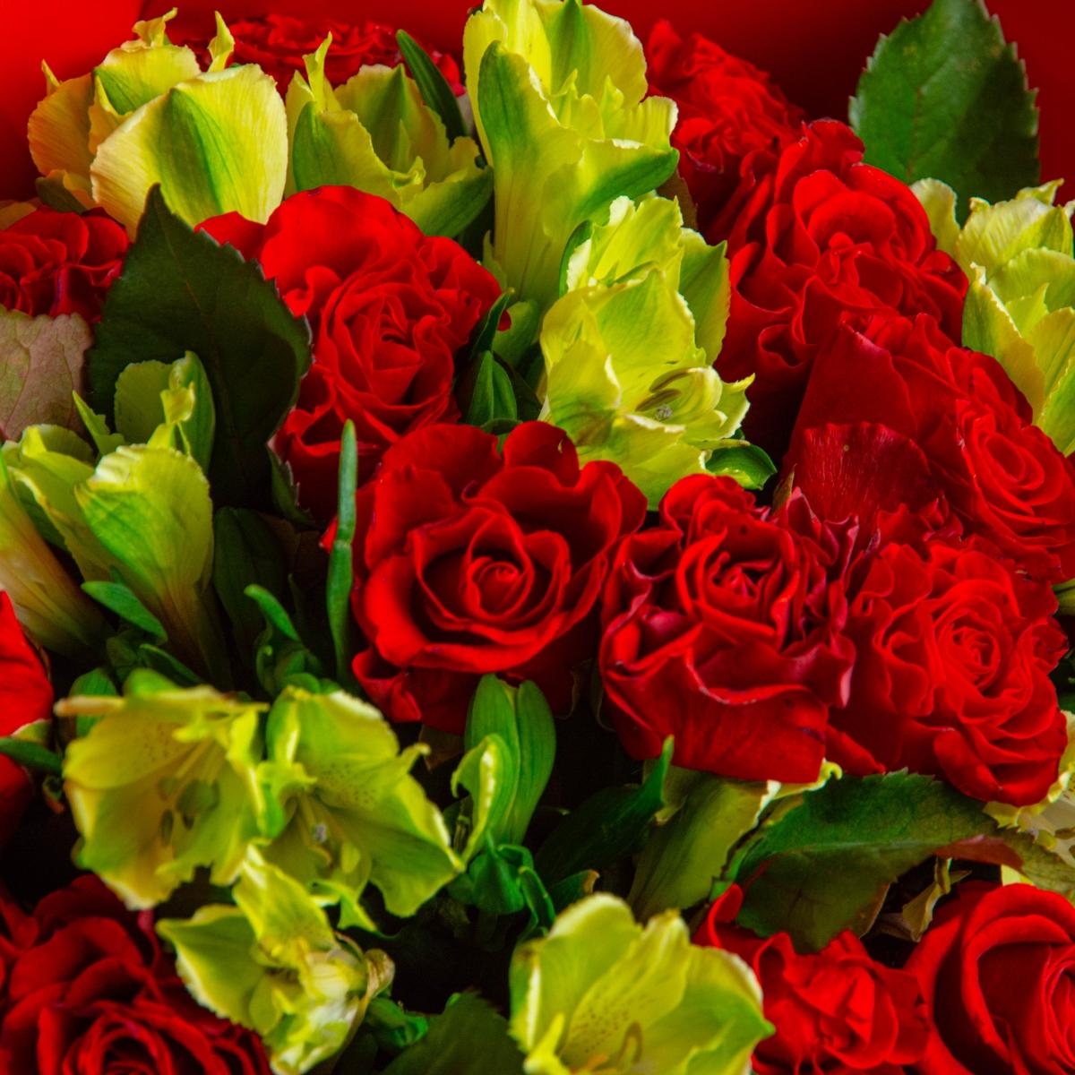 17 красных роз с альстромериями