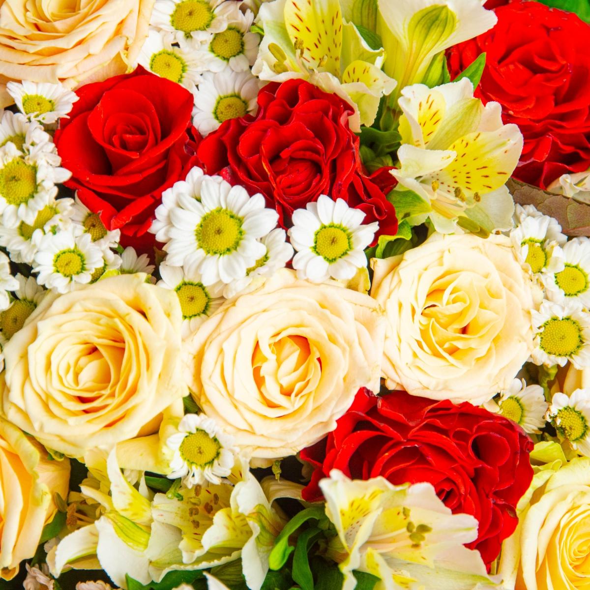 25 белых и красных роз с хризантемой