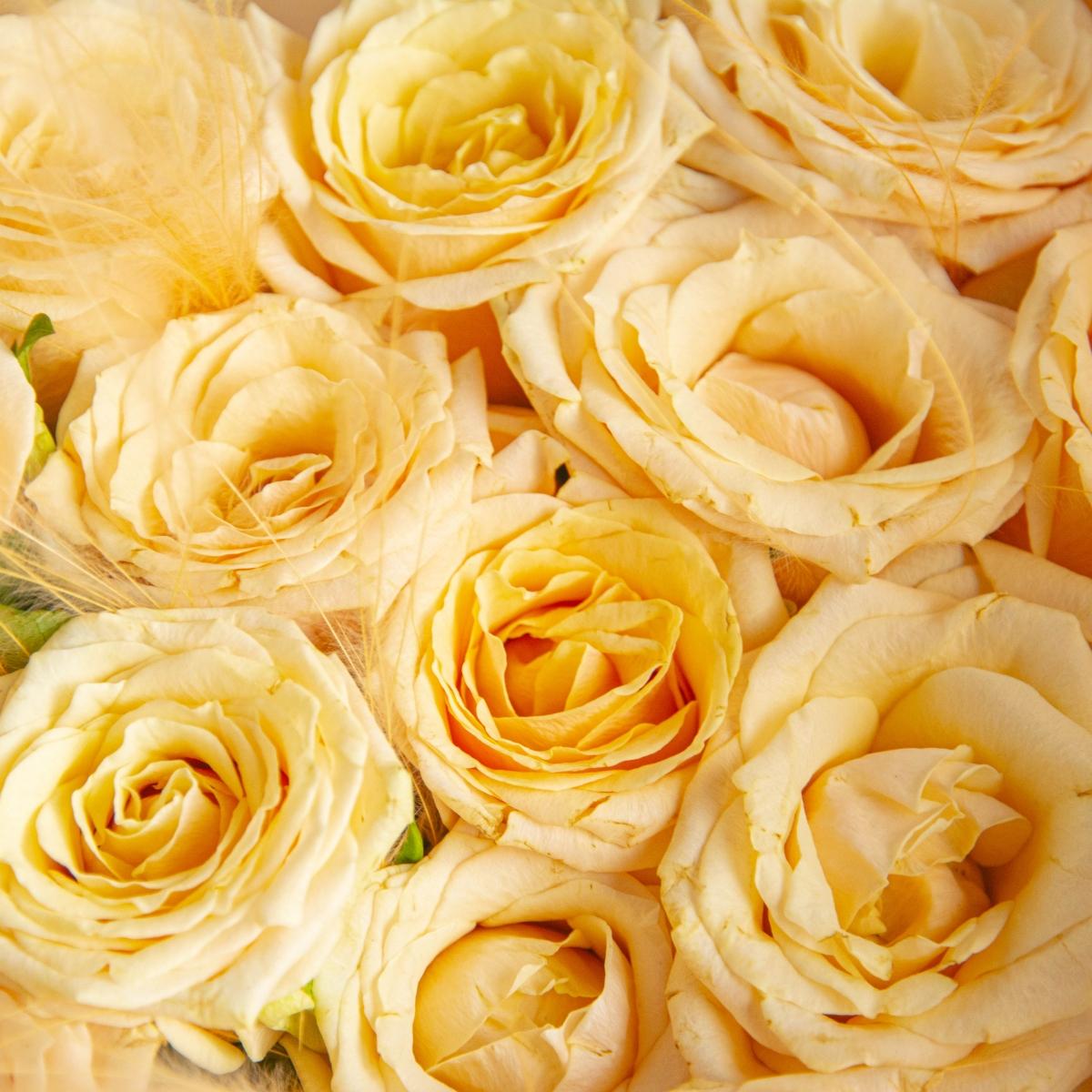 19 жёлтых роз