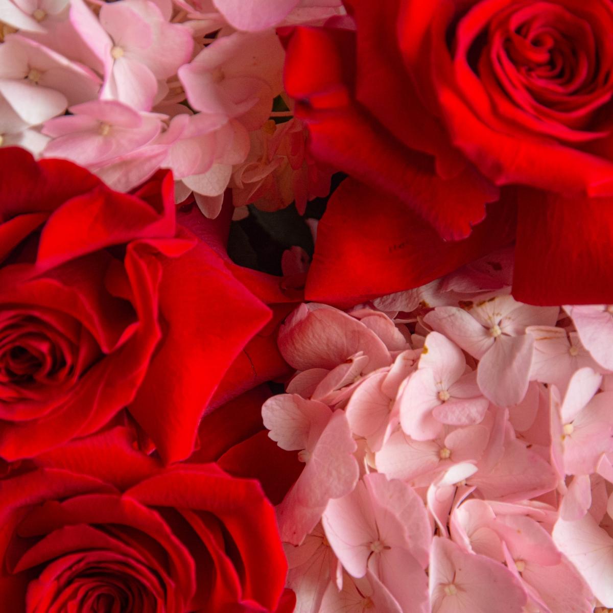 9 красных роз с гортензиями
