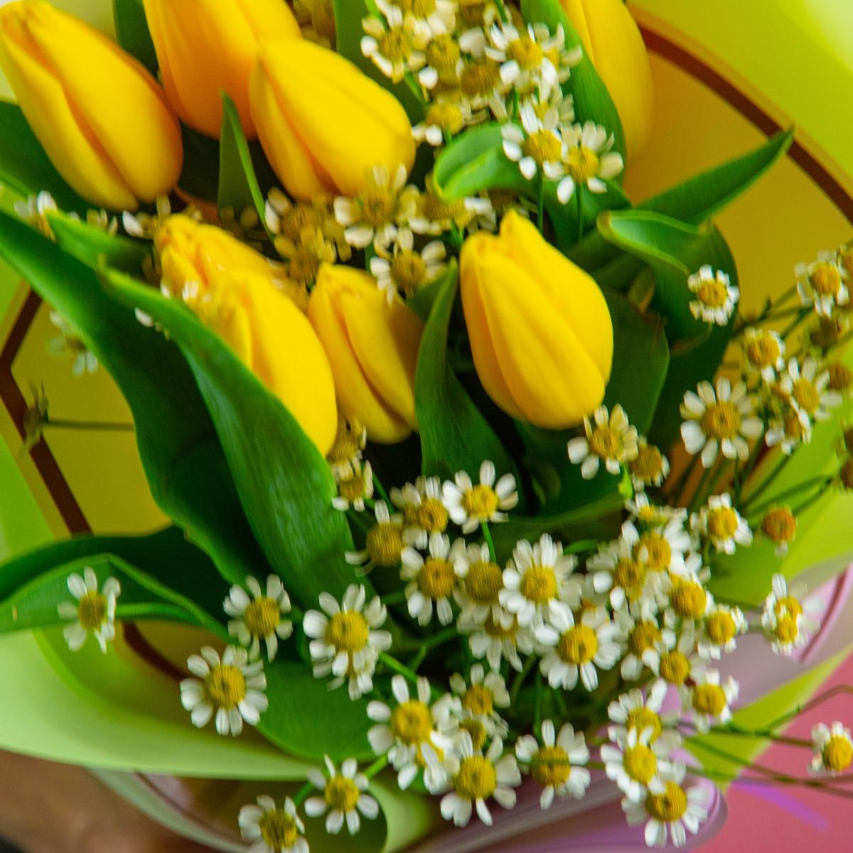 9 жёлтых тюльпанов с матрикарией